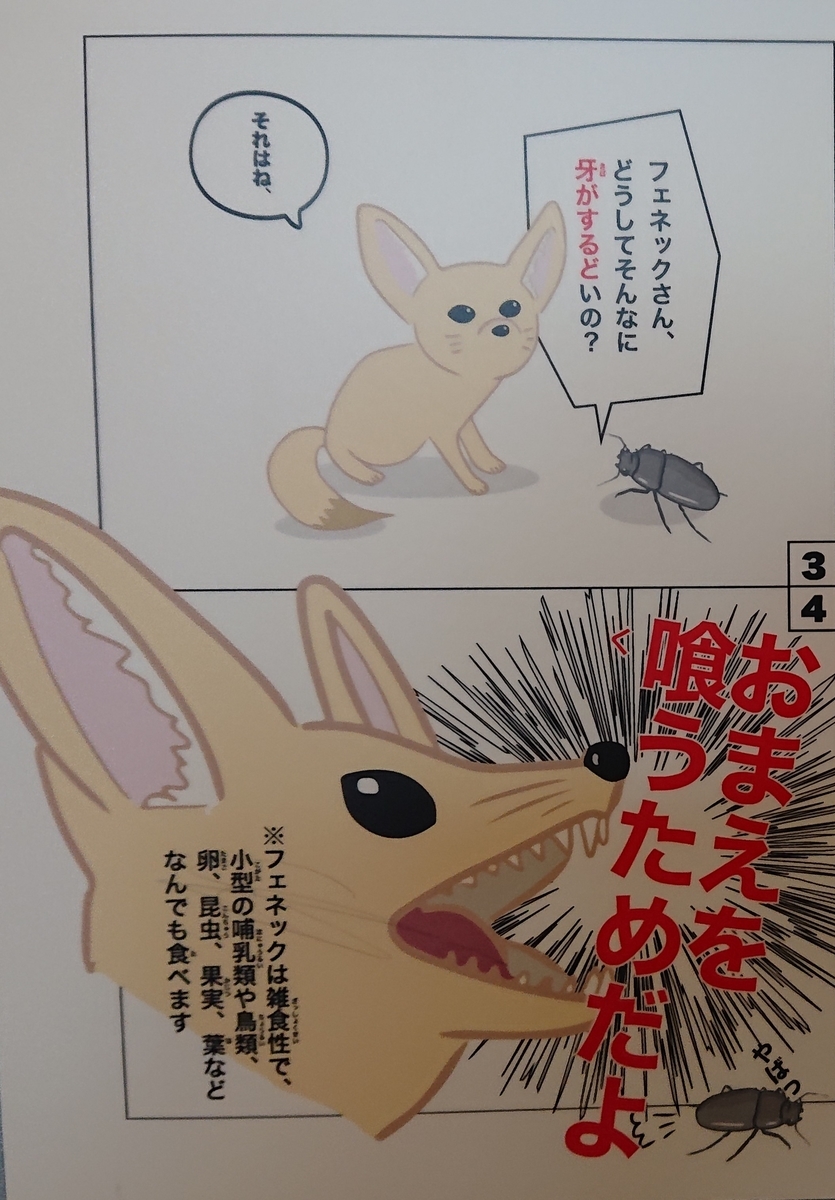 f:id:funaosarasa:20210421010230j:plain