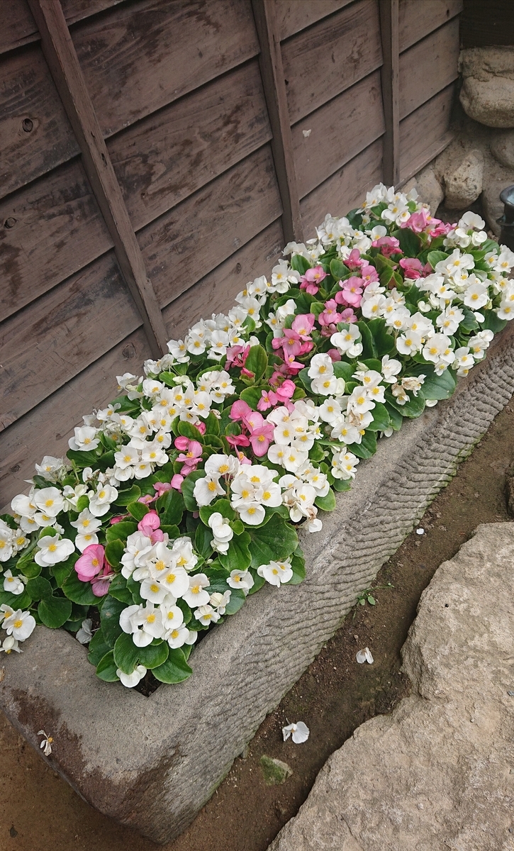 f:id:funaosarasa:20210625174256j:plain