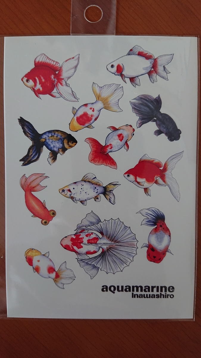 f:id:funaosarasa:20210627113646j:plain