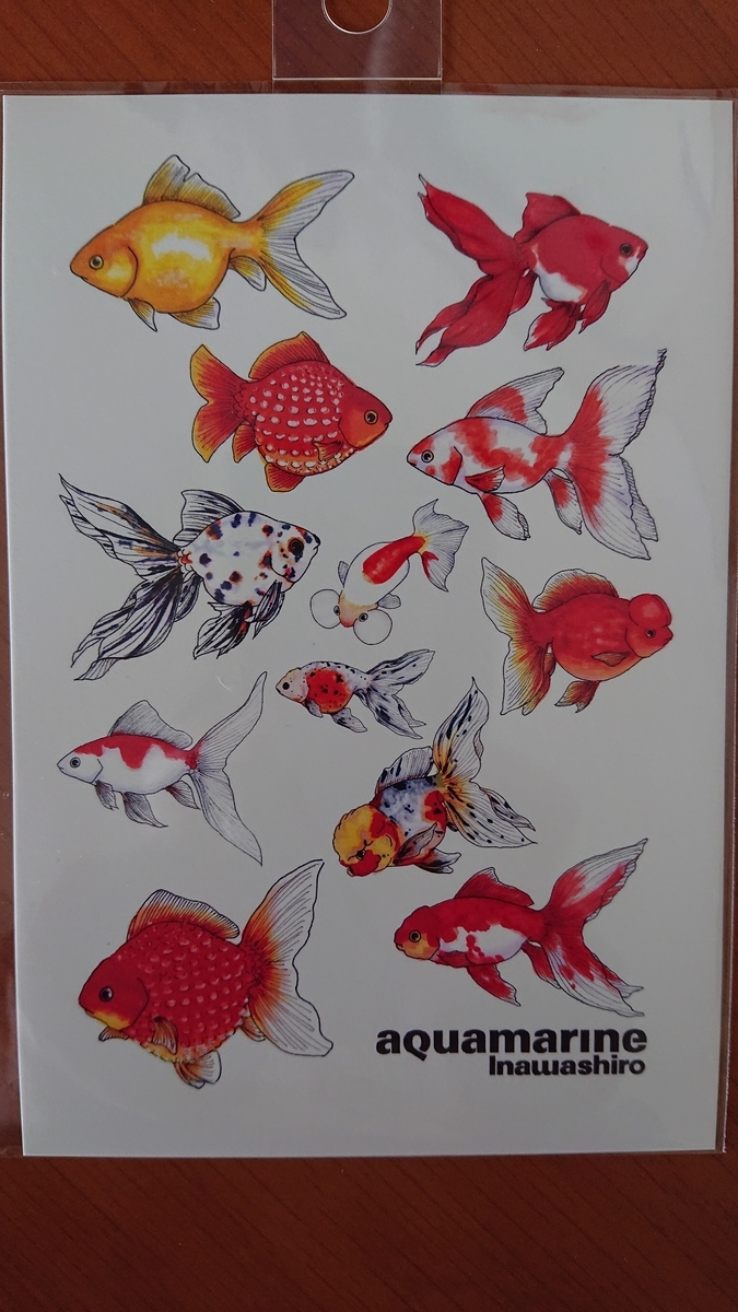 f:id:funaosarasa:20210627113746j:plain