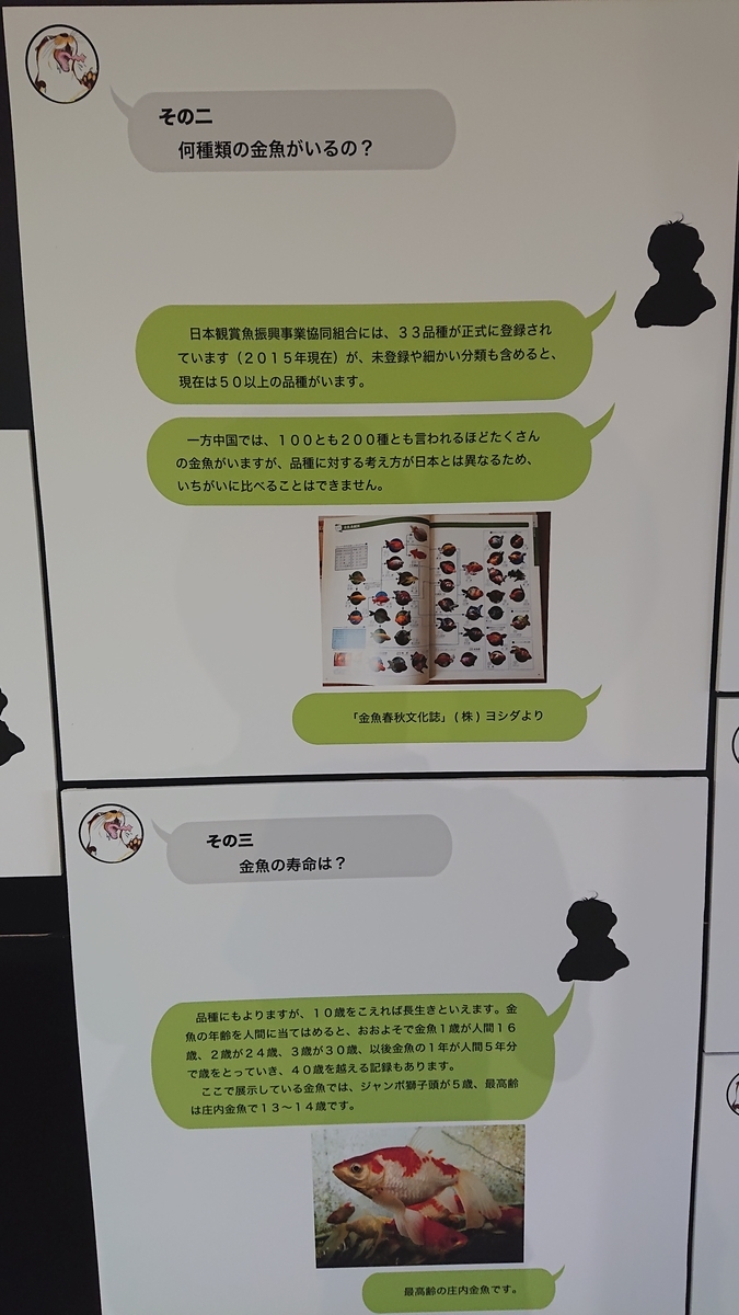 f:id:funaosarasa:20210629160215j:plain