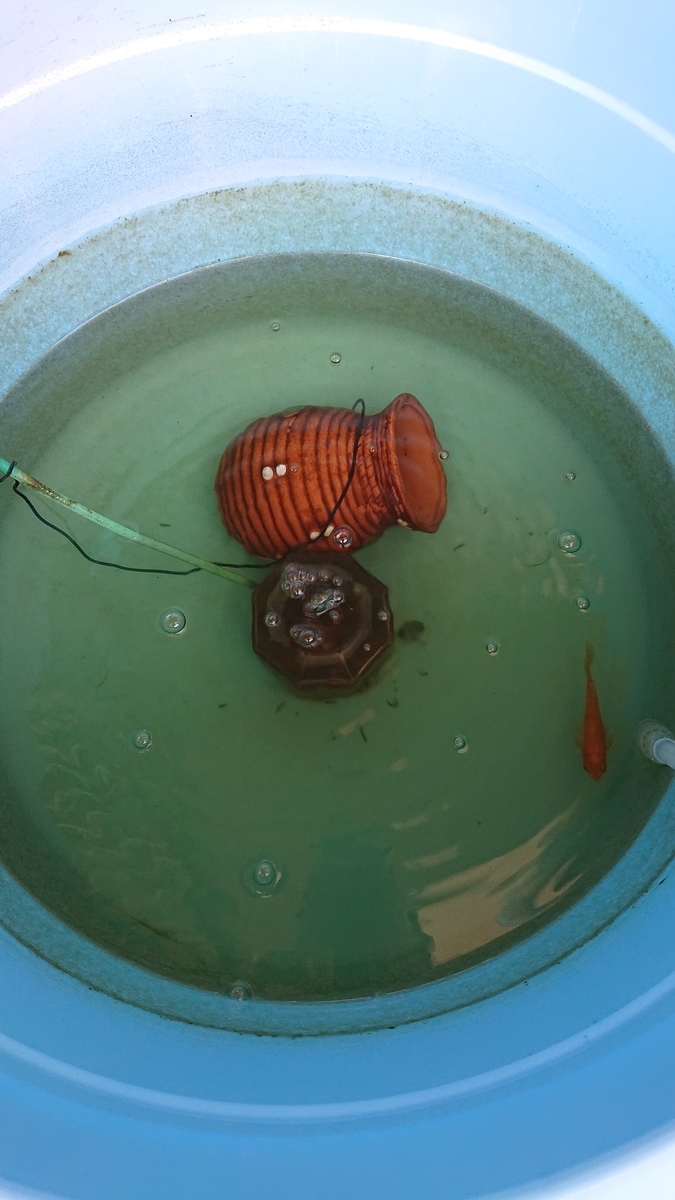 f:id:funaosarasa:20210719221716j:plain