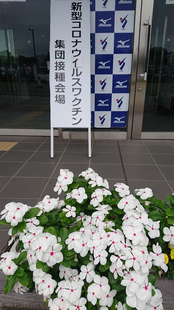 f:id:funaosarasa:20210911155203j:plain