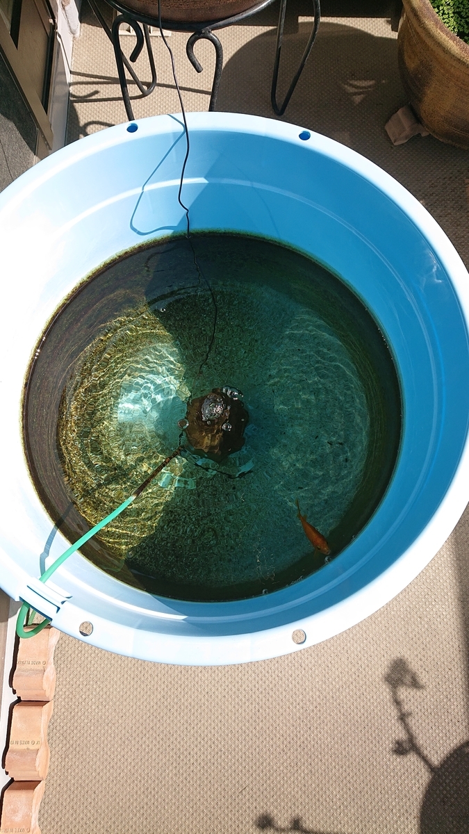 f:id:funaosarasa:20210925162700j:plain