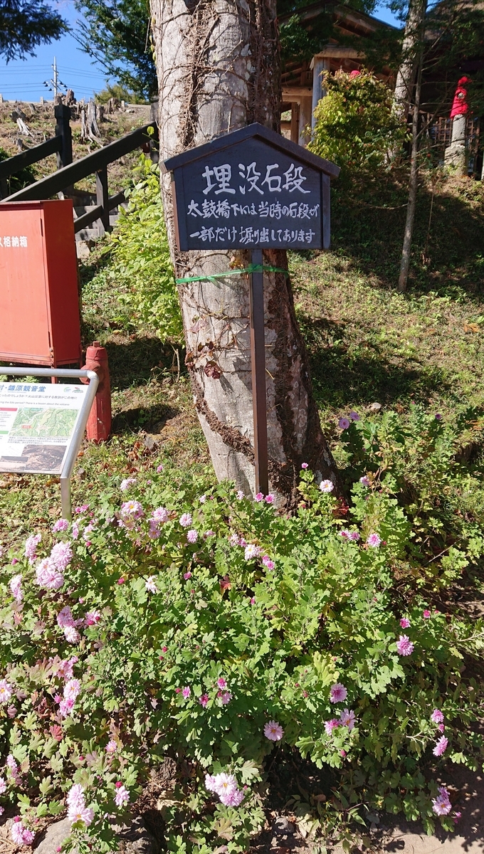 f:id:funaosarasa:20211028163448j:plain