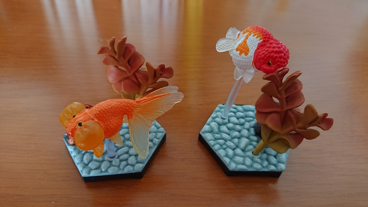 f:id:funaosarasa:20211028223553j:plain