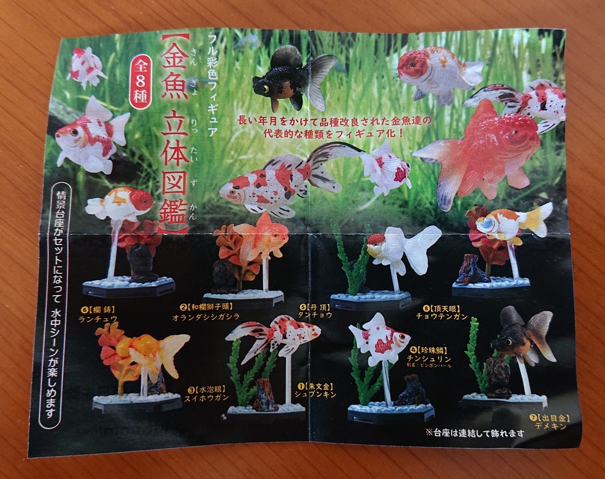 f:id:funaosarasa:20211028224521j:plain