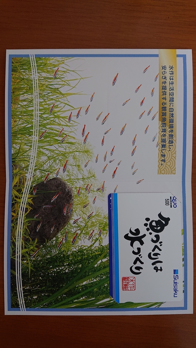 f:id:funaosarasa:20211112152917j:plain