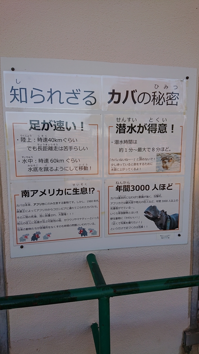 f:id:funaosarasa:20211115162904j:plain