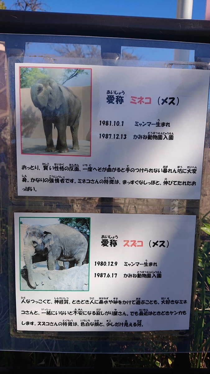 f:id:funaosarasa:20211116235117j:plain