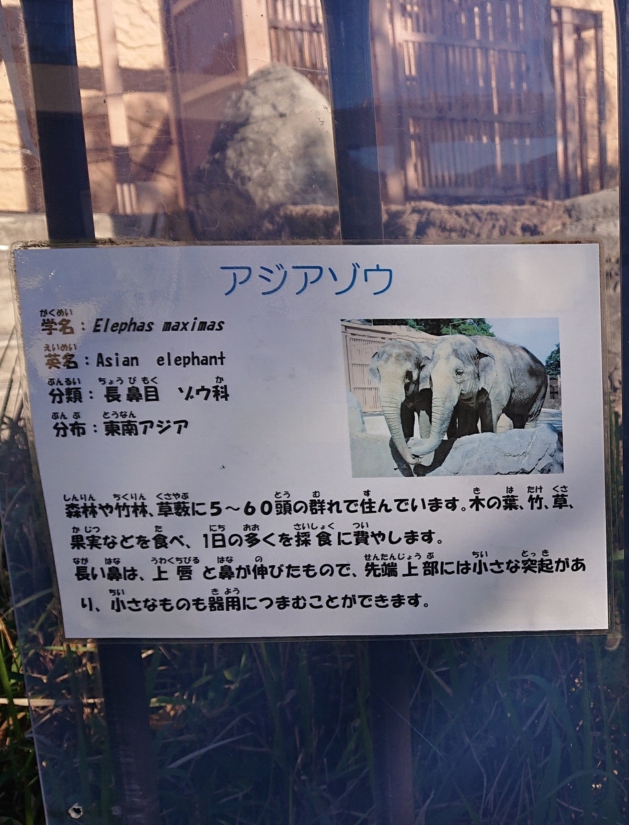 f:id:funaosarasa:20211117001148j:plain
