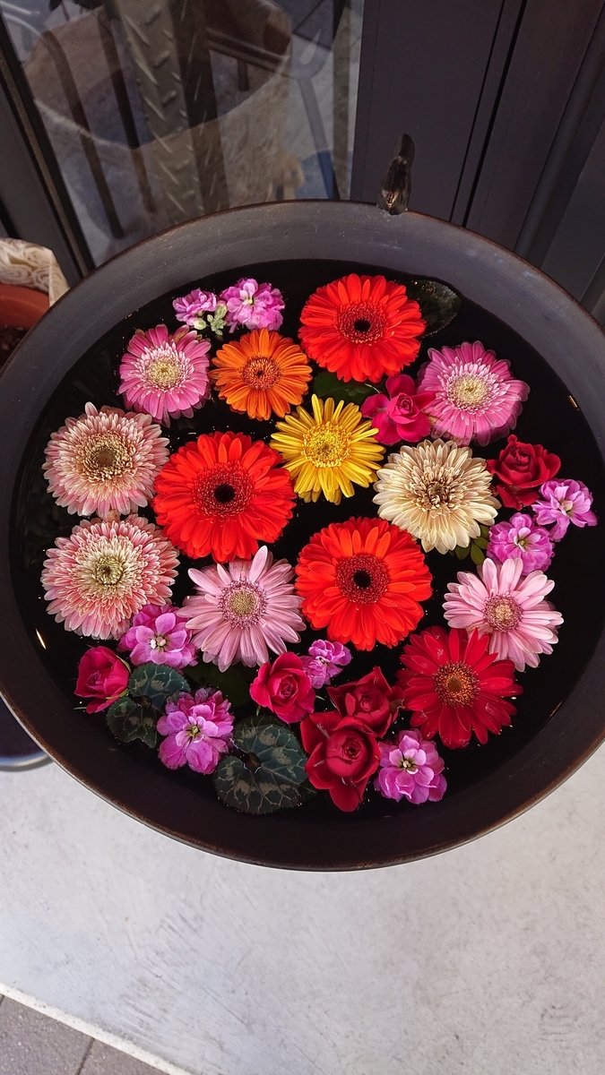 f:id:funaosarasa:20220129170535j:plain