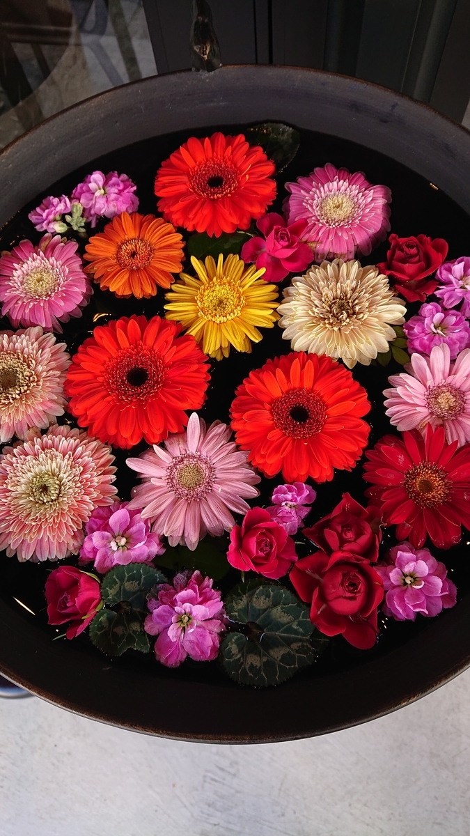 f:id:funaosarasa:20220129170625j:plain