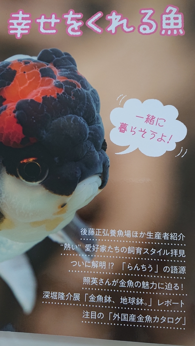f:id:funaosarasa:20220402165018j:plain