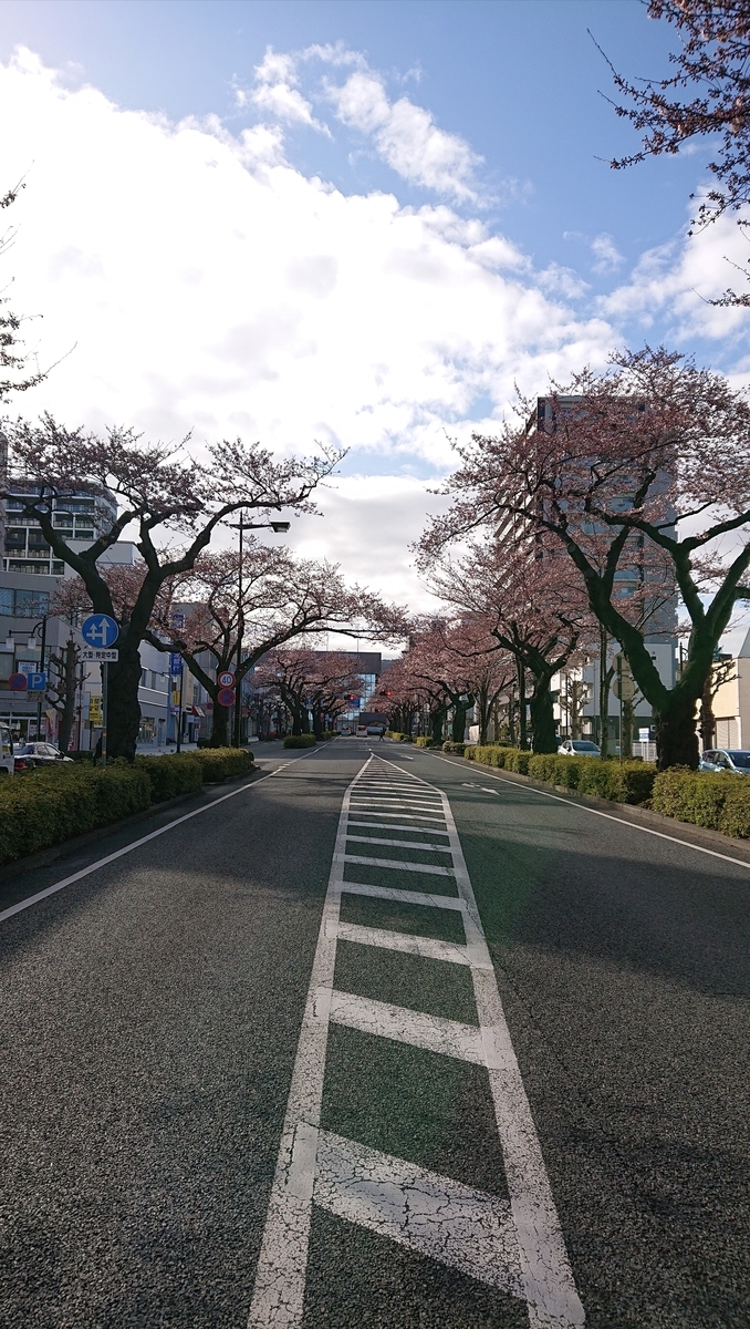f:id:funaosarasa:20220405161557j:plain