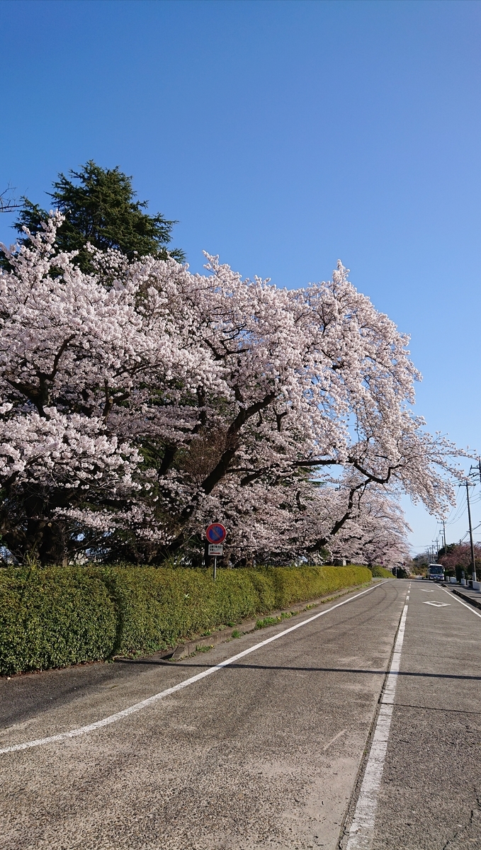 f:id:funaosarasa:20220409165232j:plain
