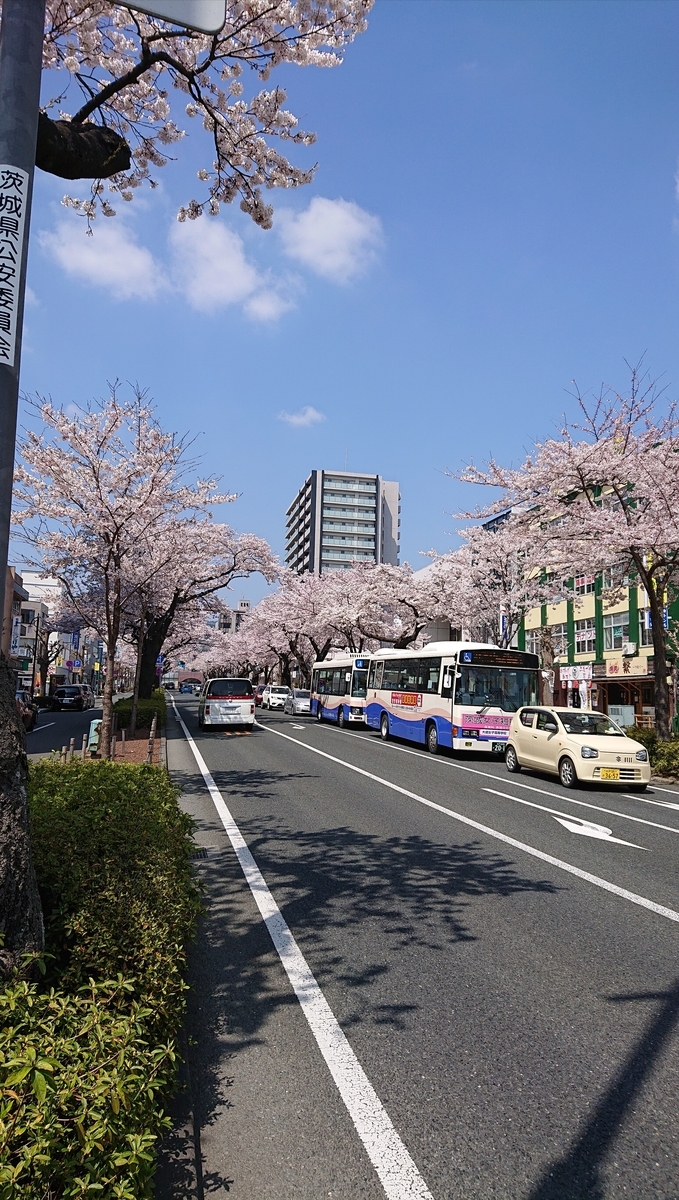 f:id:funaosarasa:20220409223429j:plain