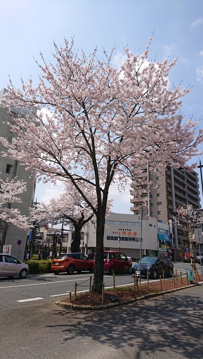 f:id:funaosarasa:20220409223730j:plain