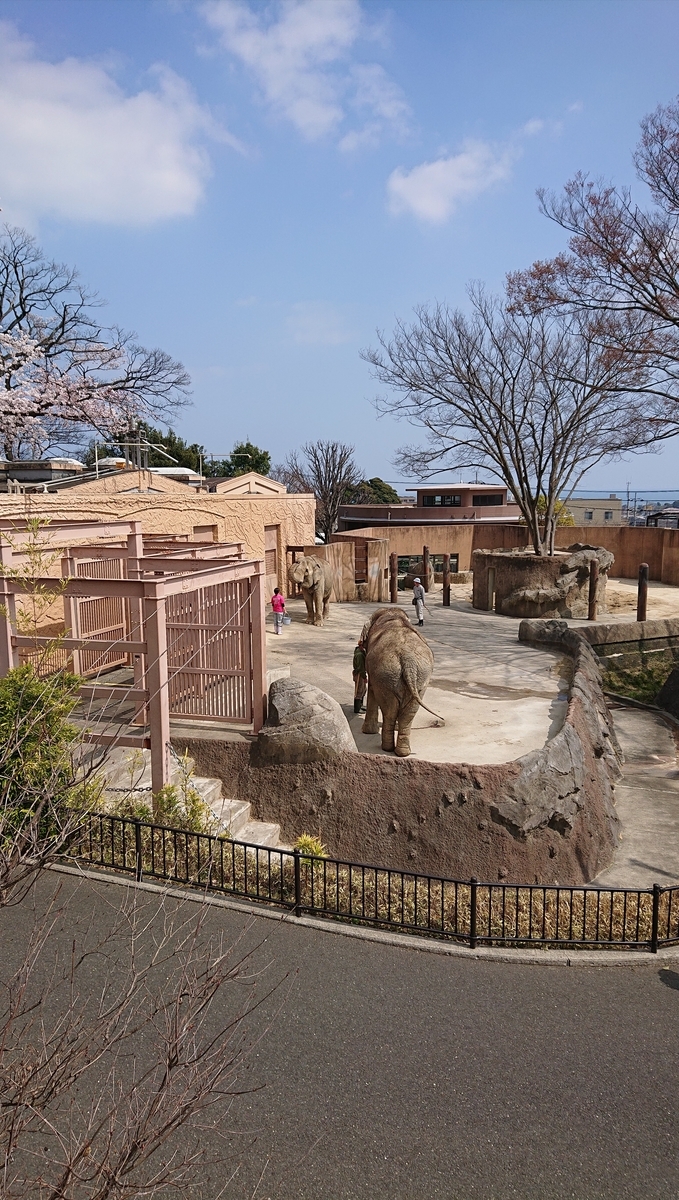 f:id:funaosarasa:20220409230931j:plain