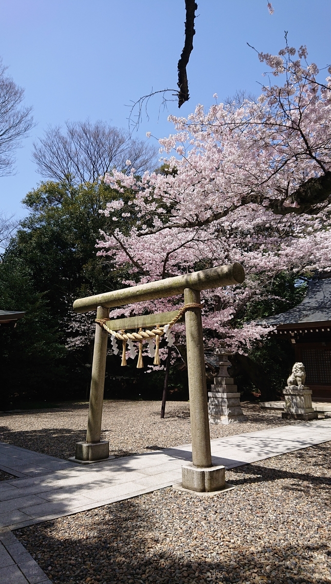 f:id:funaosarasa:20220412120835j:plain