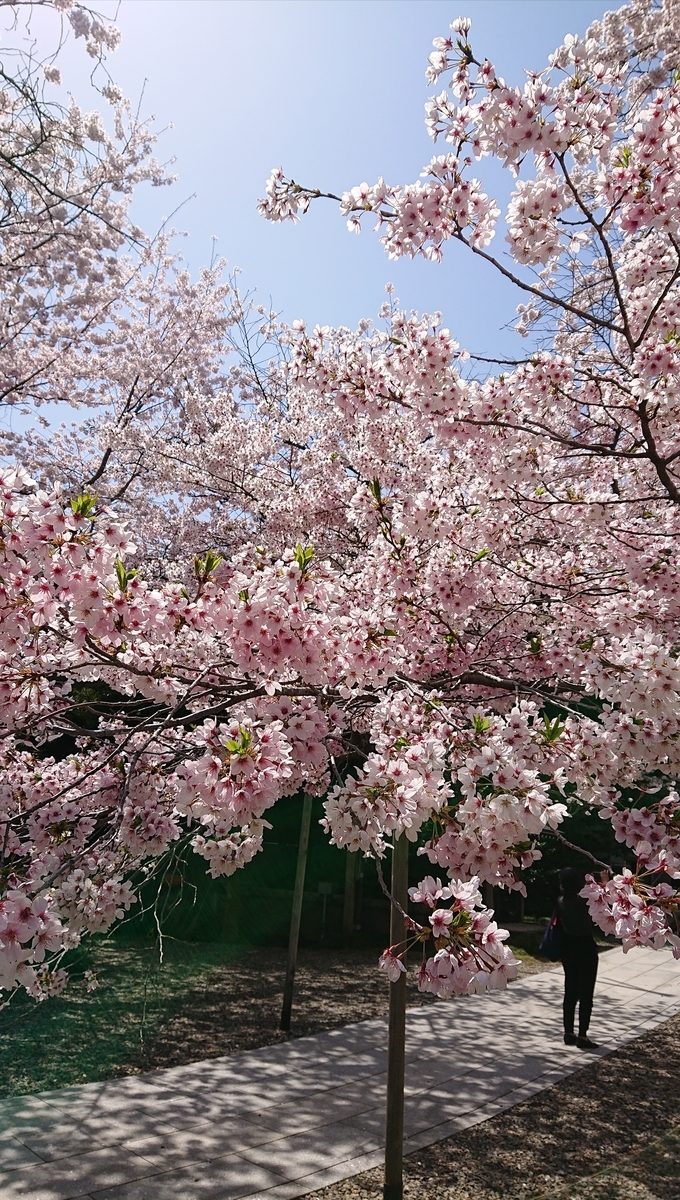 f:id:funaosarasa:20220412120937j:plain