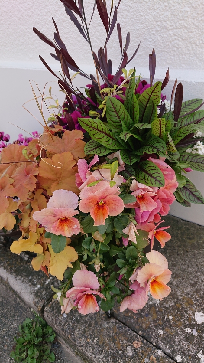 f:id:funaosarasa:20220414190833j:plain