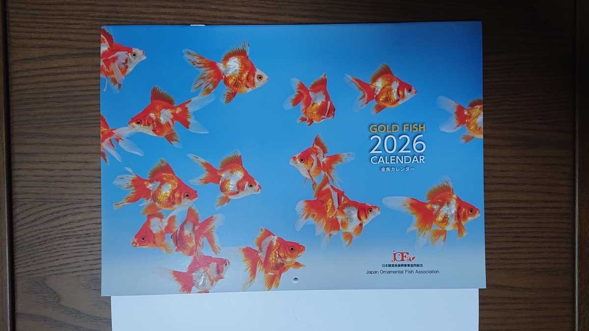 金魚カレンダー2026 - すくい金魚