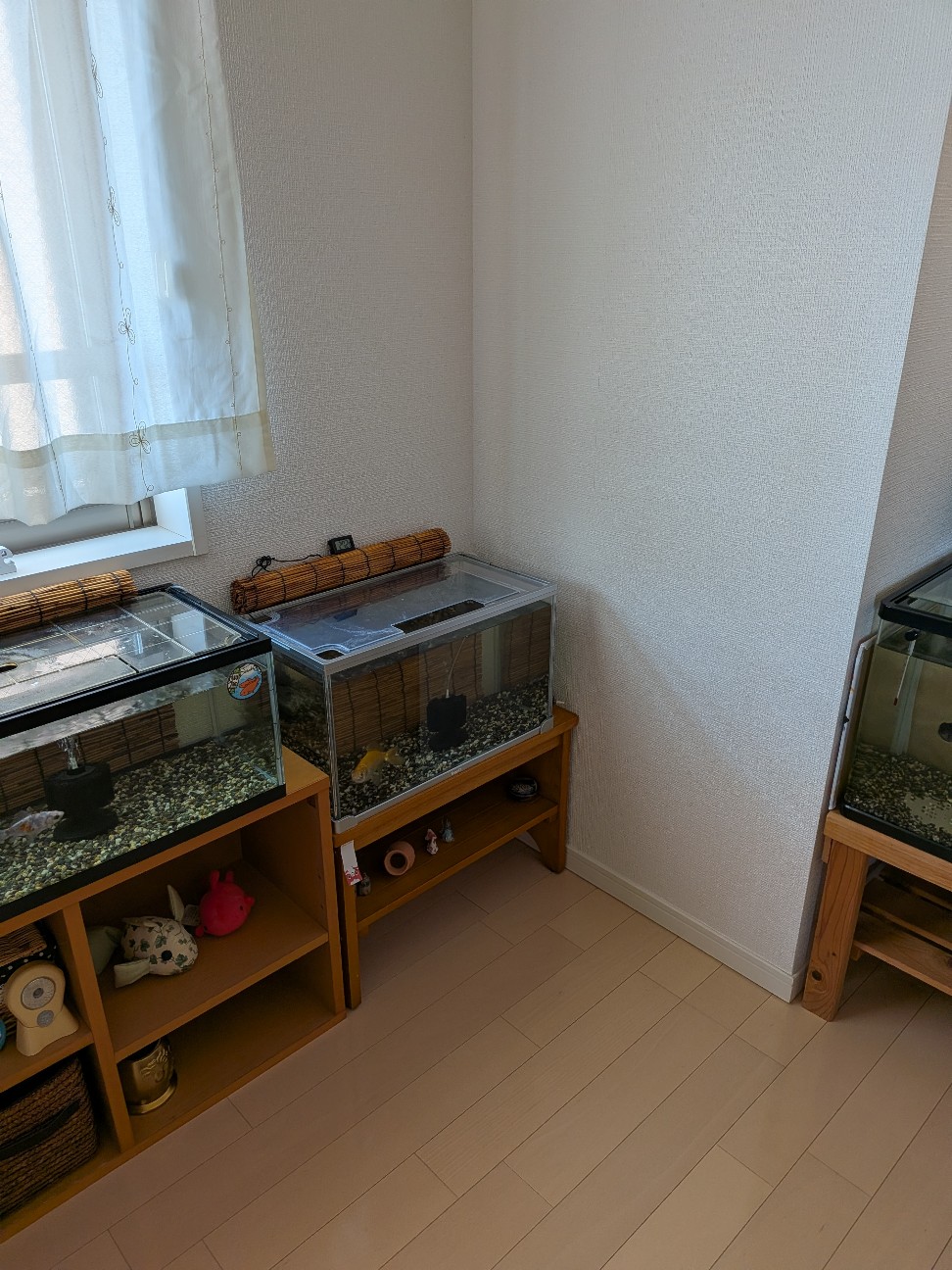 f:id:funaosarasa:20260721122812j:image f:id:funaosarasa:20260721122812j:image