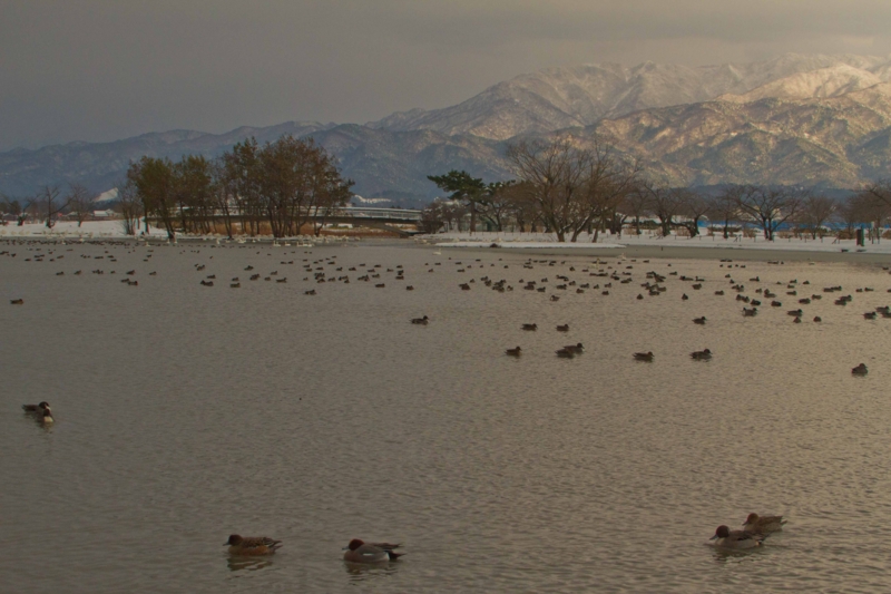 f:id:funatuyo:20121210143808j:image