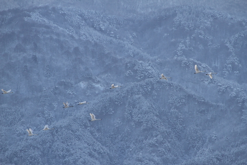 f:id:funatuyo:20121219081543j:image