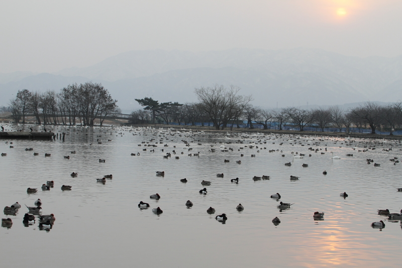 f:id:funatuyo:20130307064014j:image
