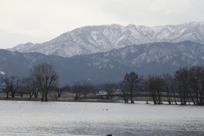 f:id:funatuyo:20130311080403j:image