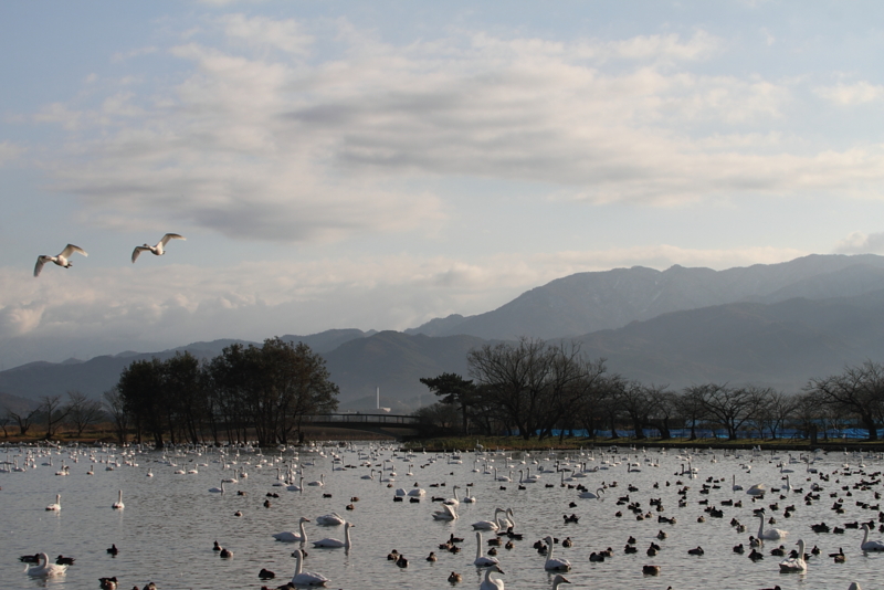 f:id:funatuyo:20131203211506j:image