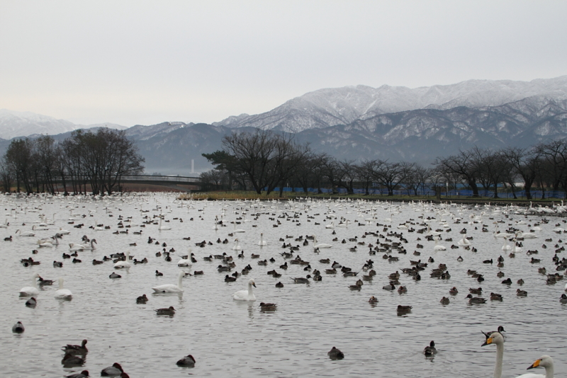 f:id:funatuyo:20131218212002j:image