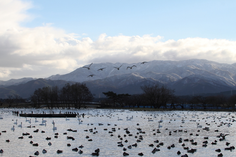 f:id:funatuyo:20131222082220j:image