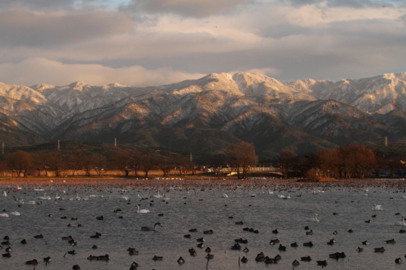 f:id:funatuyo:20131222160727j:image