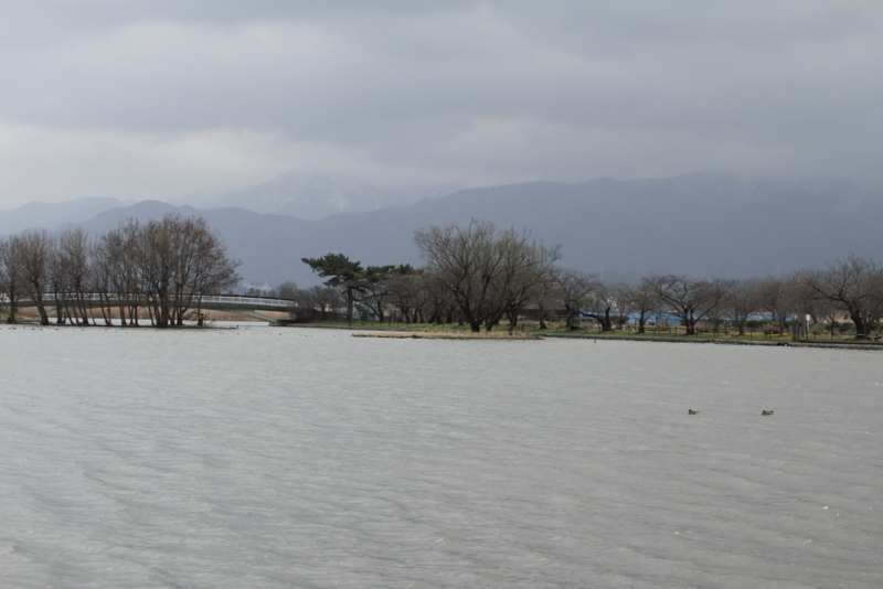 f:id:funatuyo:20140331084942j:image