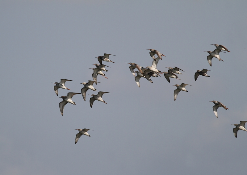 f:id:funatuyo:20140407081750j:image