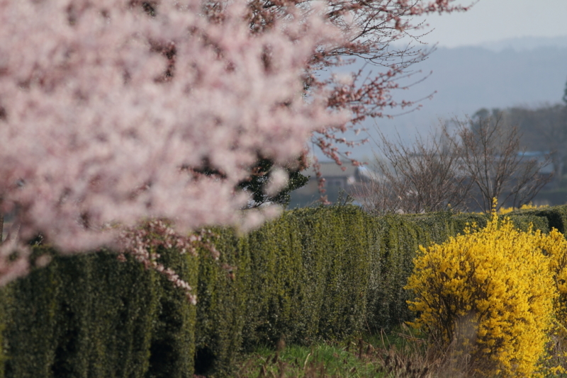 f:id:funatuyo:20140410090320j:image