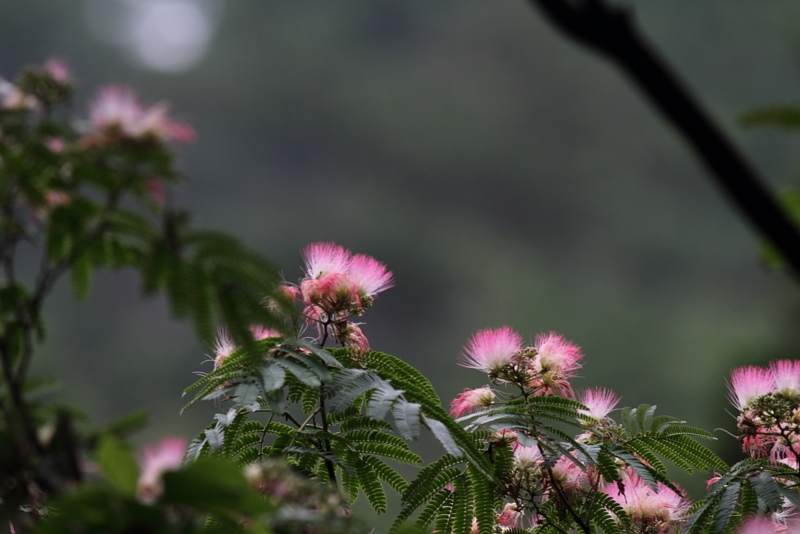 f:id:funatuyo:20140712092302j:image