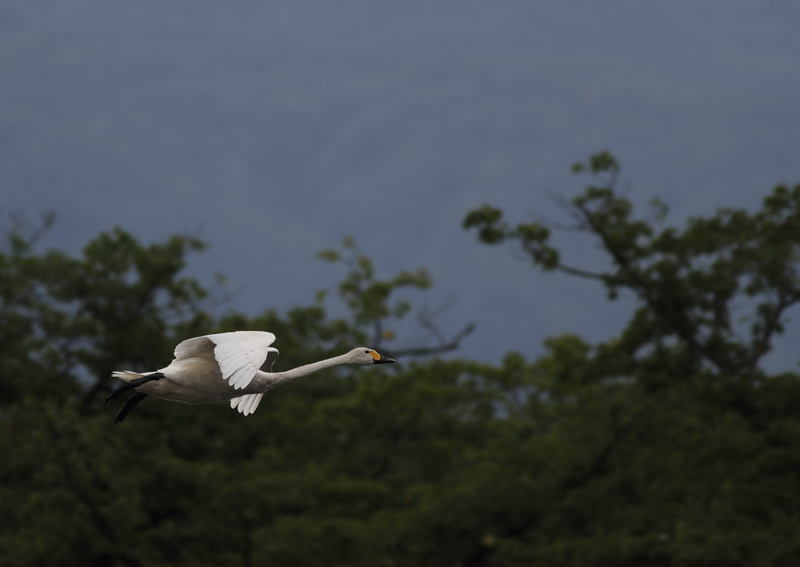 f:id:funatuyo:20140828083746j:image