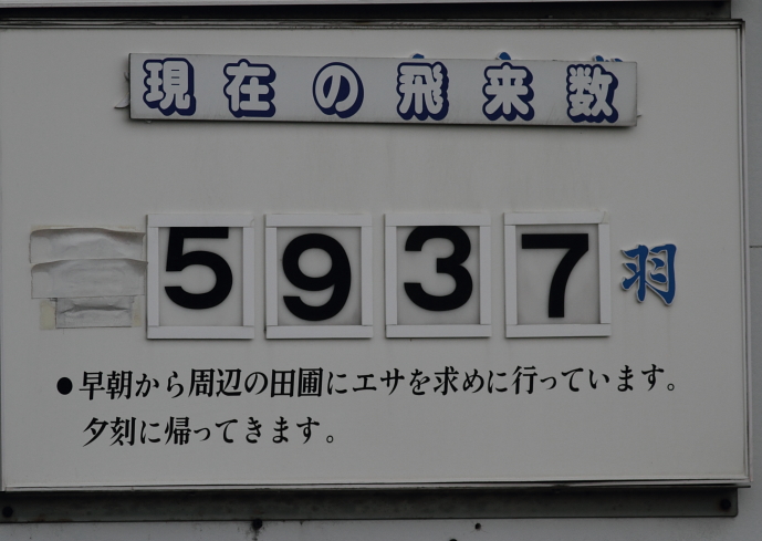 f:id:funatuyo:20141130075734j:image