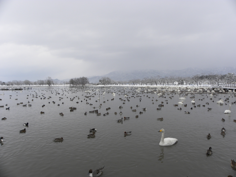 f:id:funatuyo:20150101102908j:image