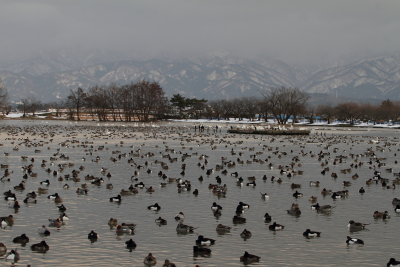f:id:funatuyo:20150110161446j:image
