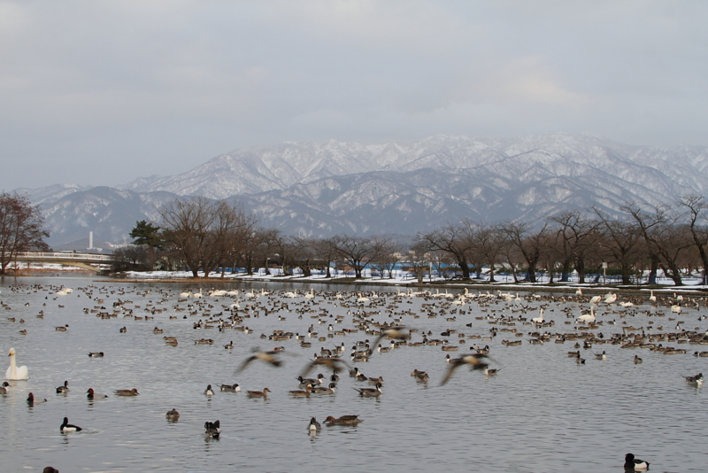 f:id:funatuyo:20150113160541j:image