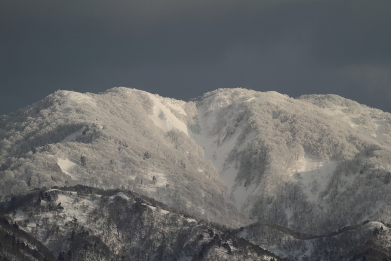 f:id:funatuyo:20150128154243j:image