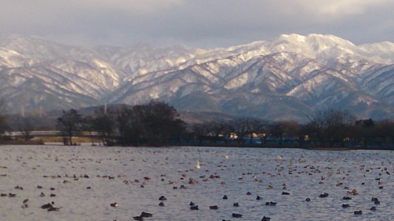 f:id:funatuyo:20150128154604j:image