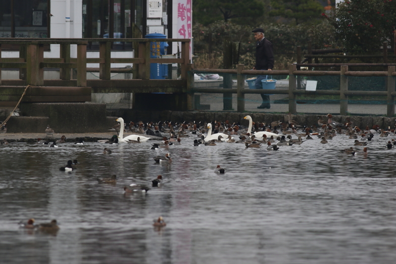 f:id:funatuyo:20150320090311j:image