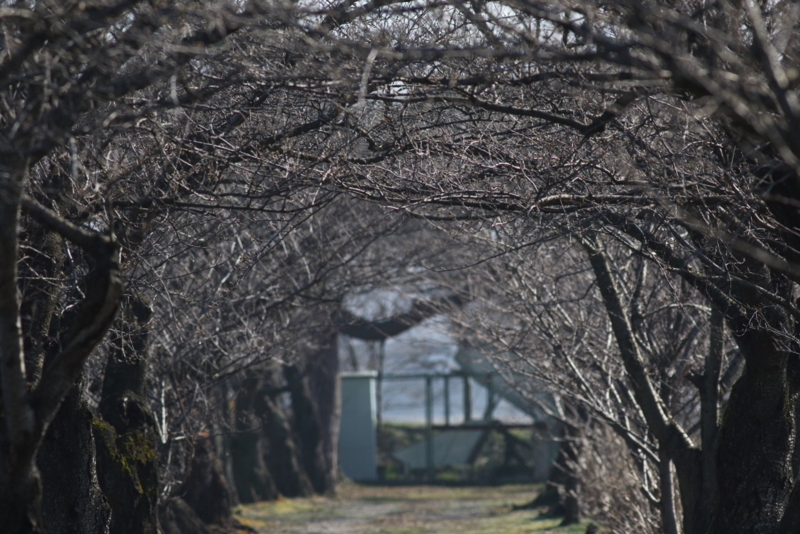 f:id:funatuyo:20150321082955j:image