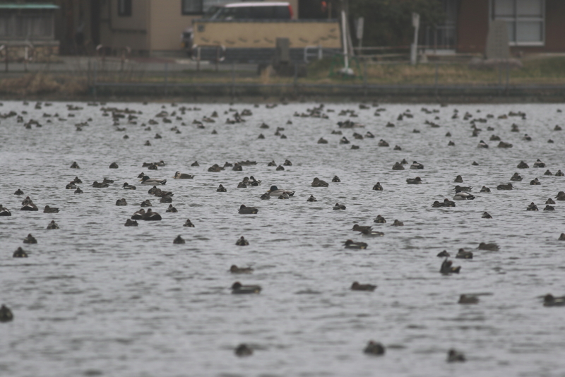 f:id:funatuyo:20150323084640j:image